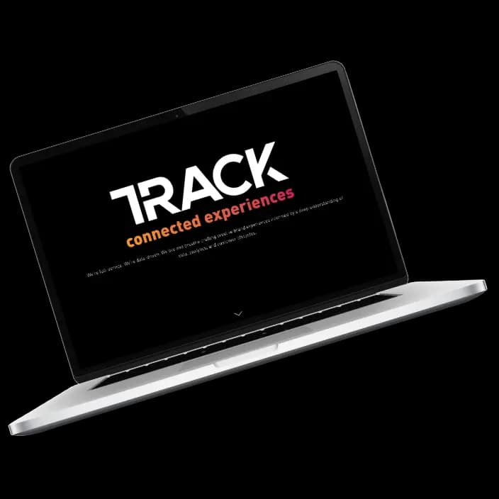 TRACKDDB WordPress project preview.